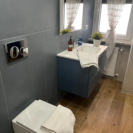 Domus Pio Viii Apartment Rome